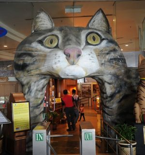 Cat Museum